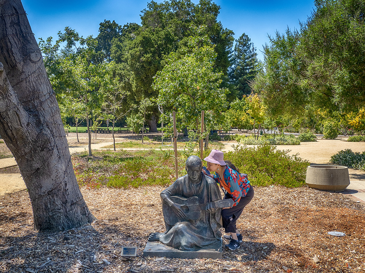 Hollbrook Palmer Park