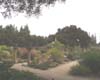 Gamble Garden