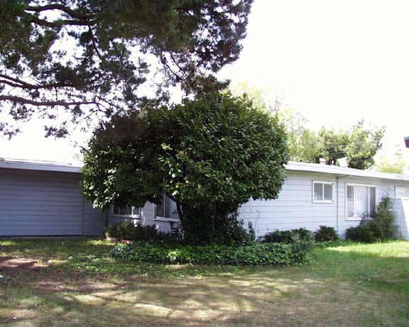 451 Alger Drive, Palo Alto