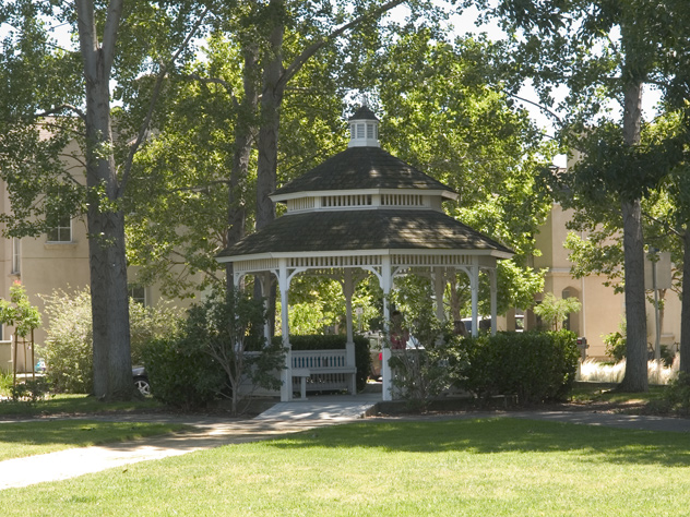 Gazebo  picture - 151 Pacchetti Way, Mountain View 94040
