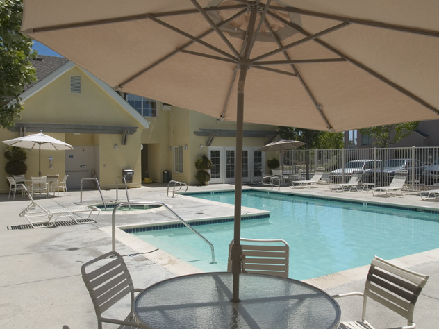 Pool  picture - 151 Pacchetti Way, Mountain View 94040