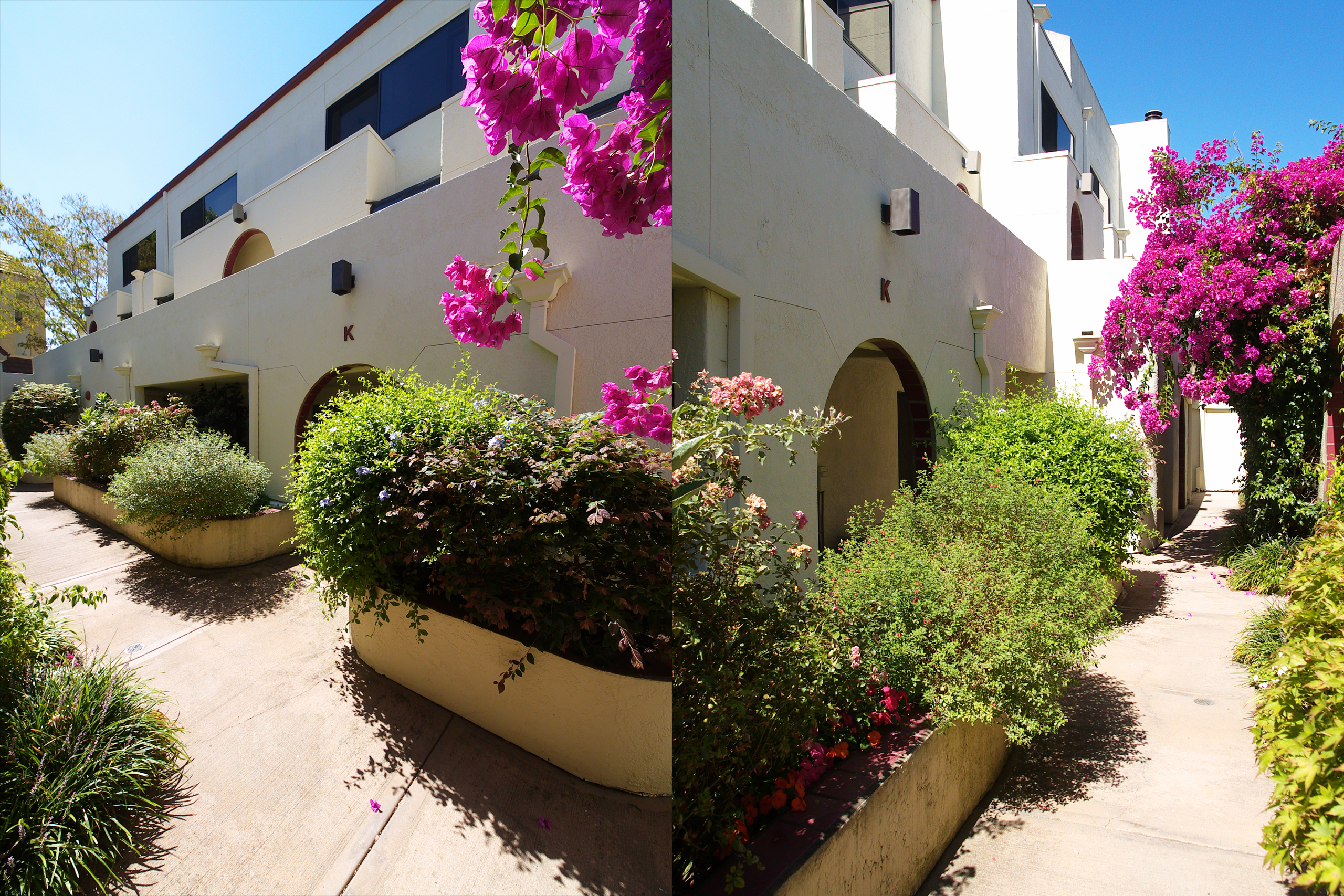 S California Ave - College Terrace Neighborhood