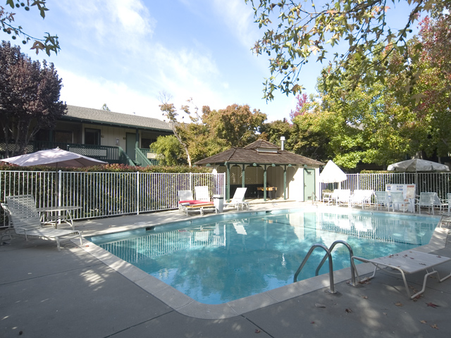 Pool  picture - 2025 California St 33, Mountain View 94040