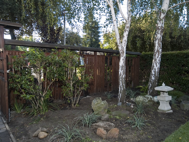 Garden  picture - 789 East Meadow Dr, Palo Alto 94303