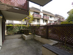 Back Patio 