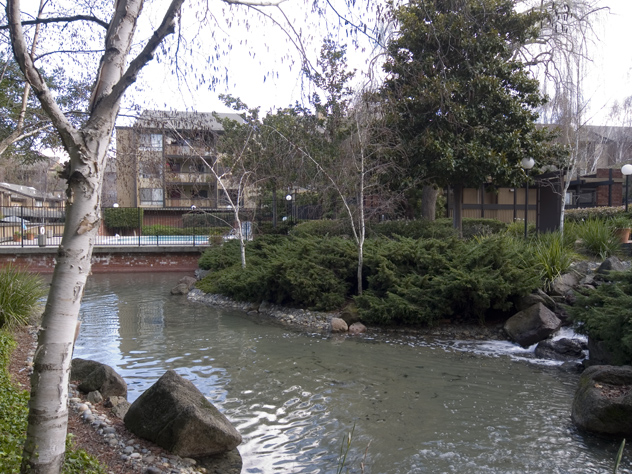 Landscape  picture - 49 Showers Dr, Unit W109, Mountain View 94040