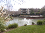 Showers Dr 49 W109