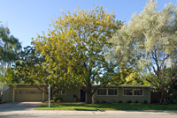 1607 Channing Avenue, Palo Alto - Homes for Sale Palo Alto Real Estate - 1607 Channing Avenue