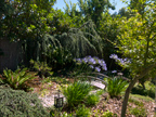 Garden Bridge 