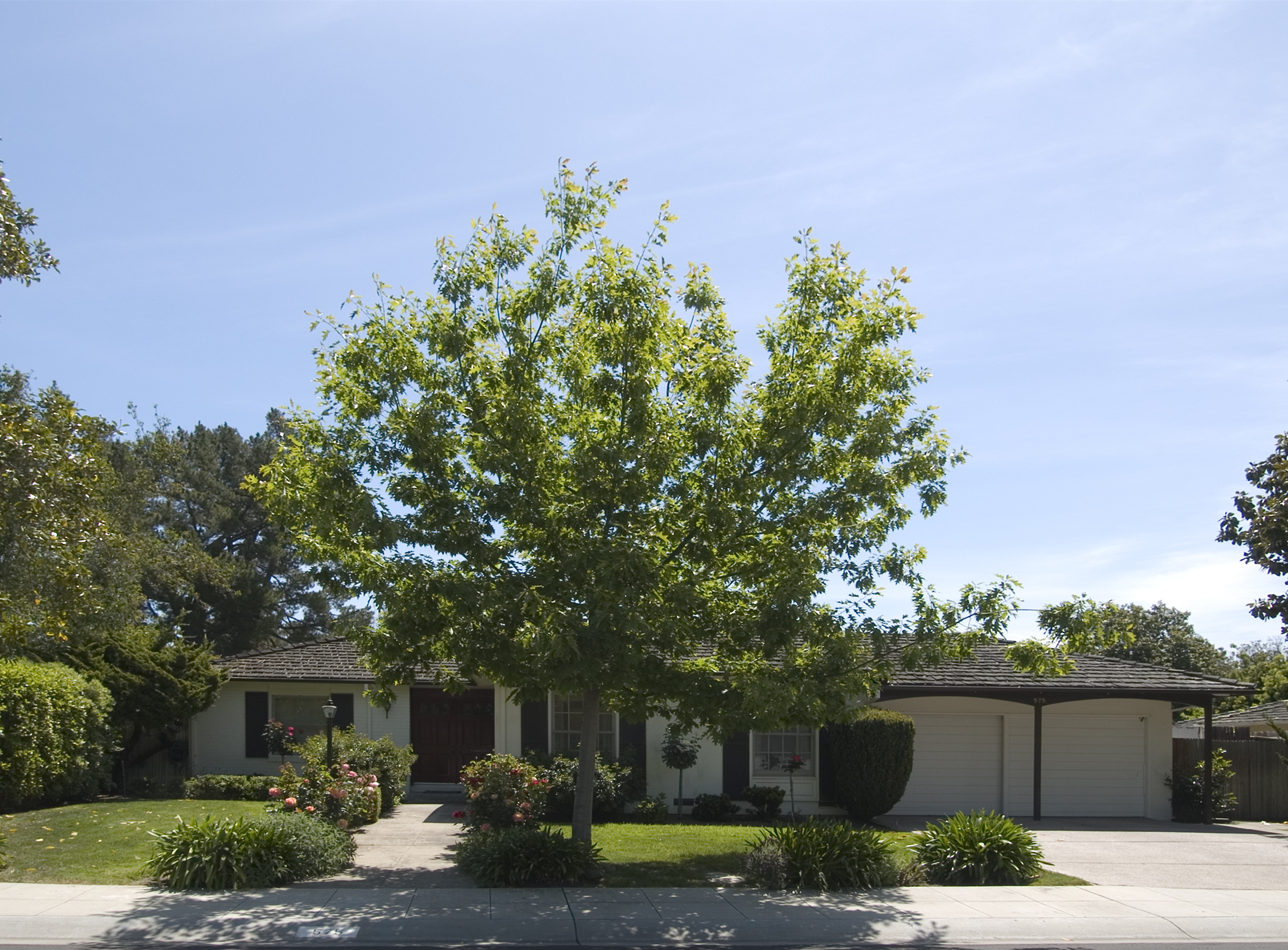 Madison Way - Green Gables Neighborhood