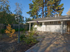 more photos