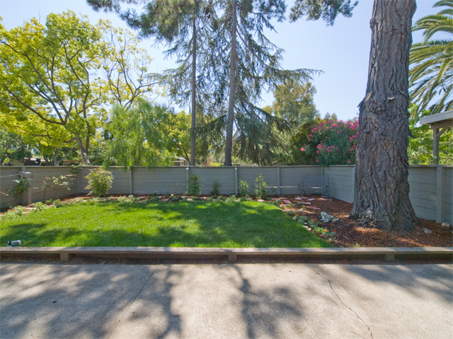 Front Yard  picture - 352 Carolina Ln, Palo Alto 94306