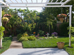 3263 Murray Way, Palo Alto 94303 - Backyard (A)