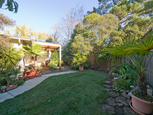 Backyard picture - 2774 Randers Ct, Palo Alto 94303