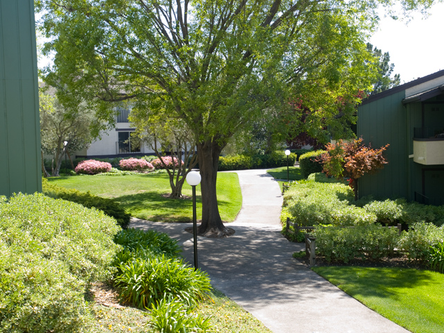 Balcony View  picture - 777 San Antonio Rd, Unit 61, Palo Alto 94303