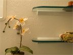 M Bath Shelf 