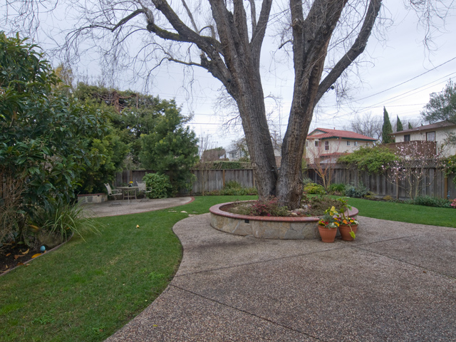 Backyard (B) Picture - 871 Sycamore Dr, Palo Alto 94303 Backyard (B) picture - 871 Sycamore Dr, Palo Alto 94303