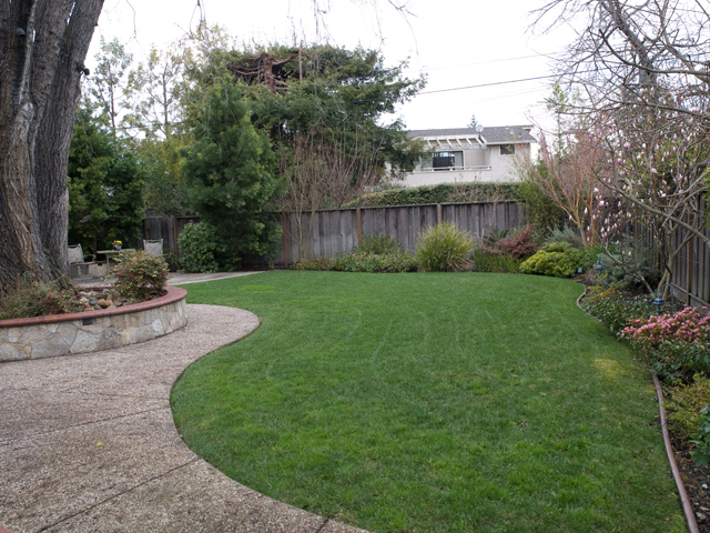 Backyard (C) Picture - 871 Sycamore Dr, Palo Alto 94303 Backyard (C) picture - 871 Sycamore Dr, Palo Alto 94303