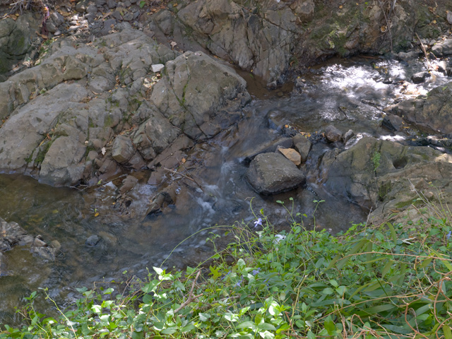 Creek Picture - 605 W Hillsdale Blvd, San Mateo 94403 Creek picture - 605 W Hillsdale Blvd, San Mateo 94403