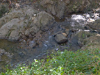 605 W Hillsdale Blvd, San Mateo 94403 - Creek 