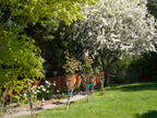 605 W Hillsdale Blvd, San Mateo 94403 - Maple Pear 