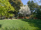 605 W Hillsdale Blvd, San Mateo 94403 - Pear Tree 