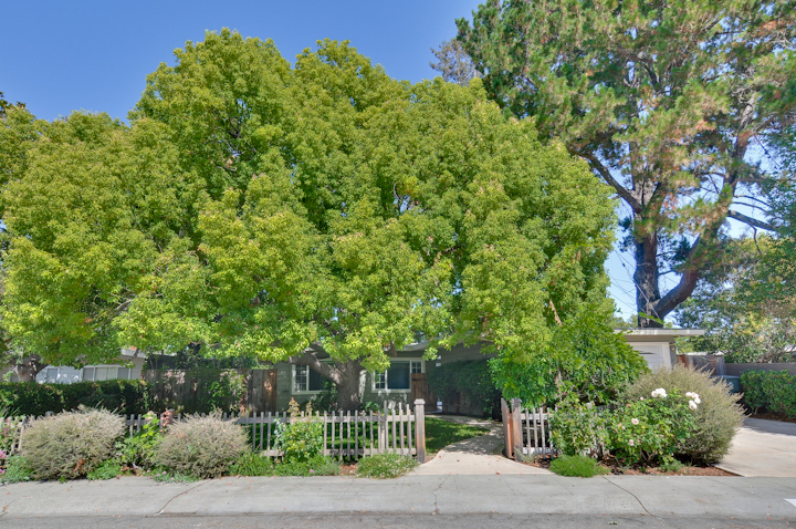 Front picture - 619 Alger Dr, Palo Alto 94306