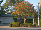 Briarwood Way 4191 