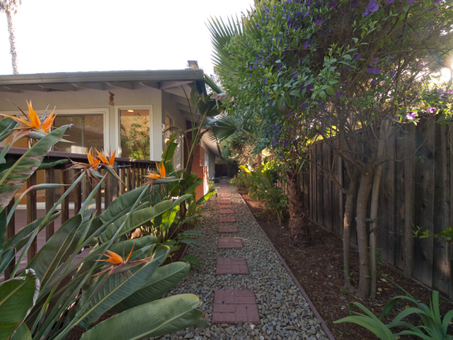 Side Yard picture - 4191 Briarwood Way, Palo Alto 94306