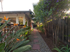 Side Yard