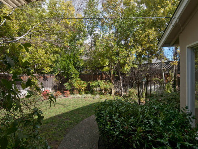 Backyard picture - 3059 Louis Rd, Palo Alto 94303