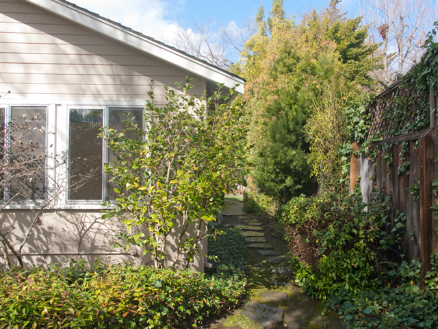Path picture - 3059 Louis Rd, Palo Alto 94303
