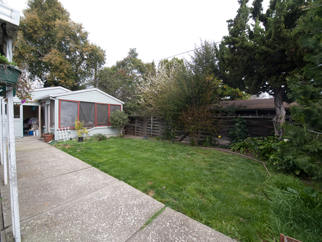 Backyard picture - 4049 Middlefield Rd, Palo Alto 94303