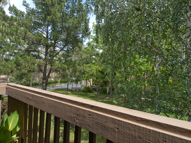 Balcony View (A) Picture - 125 Ortega Ave, Mountain View 94040 Balcony View (A) picture - 125 Ortega Ave, Mountain View 94040