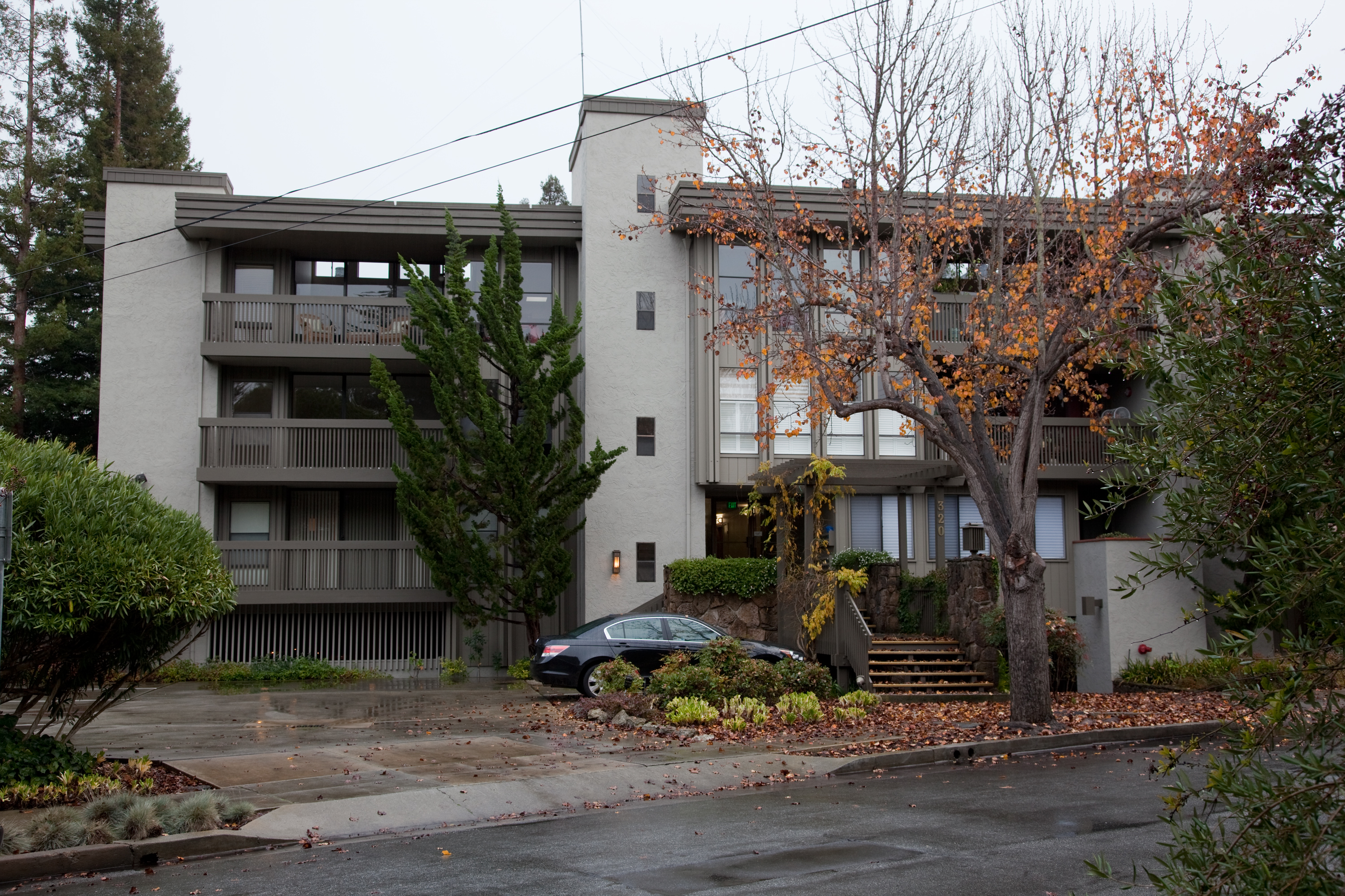Palo Alto Ave - Downtown Neighborhood