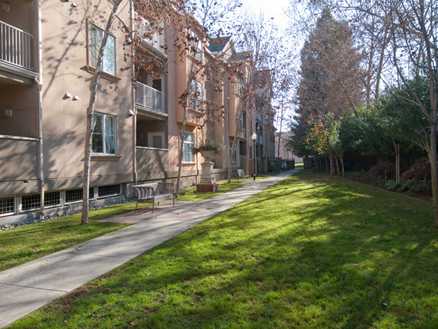 Open Space Picture - 2255 Showers Dr 341, Mountain View 94040 Open Space picture - 2255 Showers Dr 341, Mountain View 94040