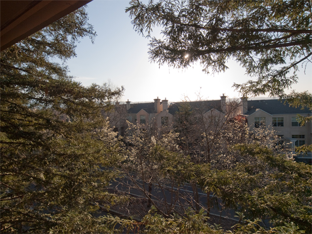 Balcony View Picture - 49 Showers Dr W302, Mountain View 94040 Balcony View picture - 49 Showers Dr W302, Mountain View 94040