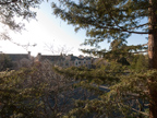 49 Showers Dr W302, Mountain View 94040 - Bedroom View 