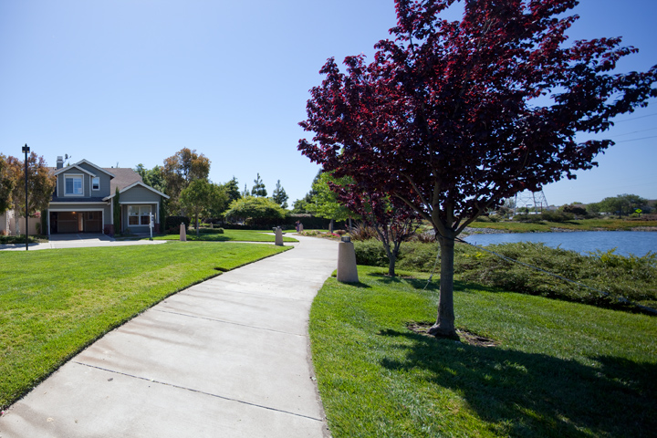 Lagoon Picture - 109 Windrose Ln, Redwood Shores 94065 Lagoon picture - 109 Windrose Ln, Redwood Shores 94065
