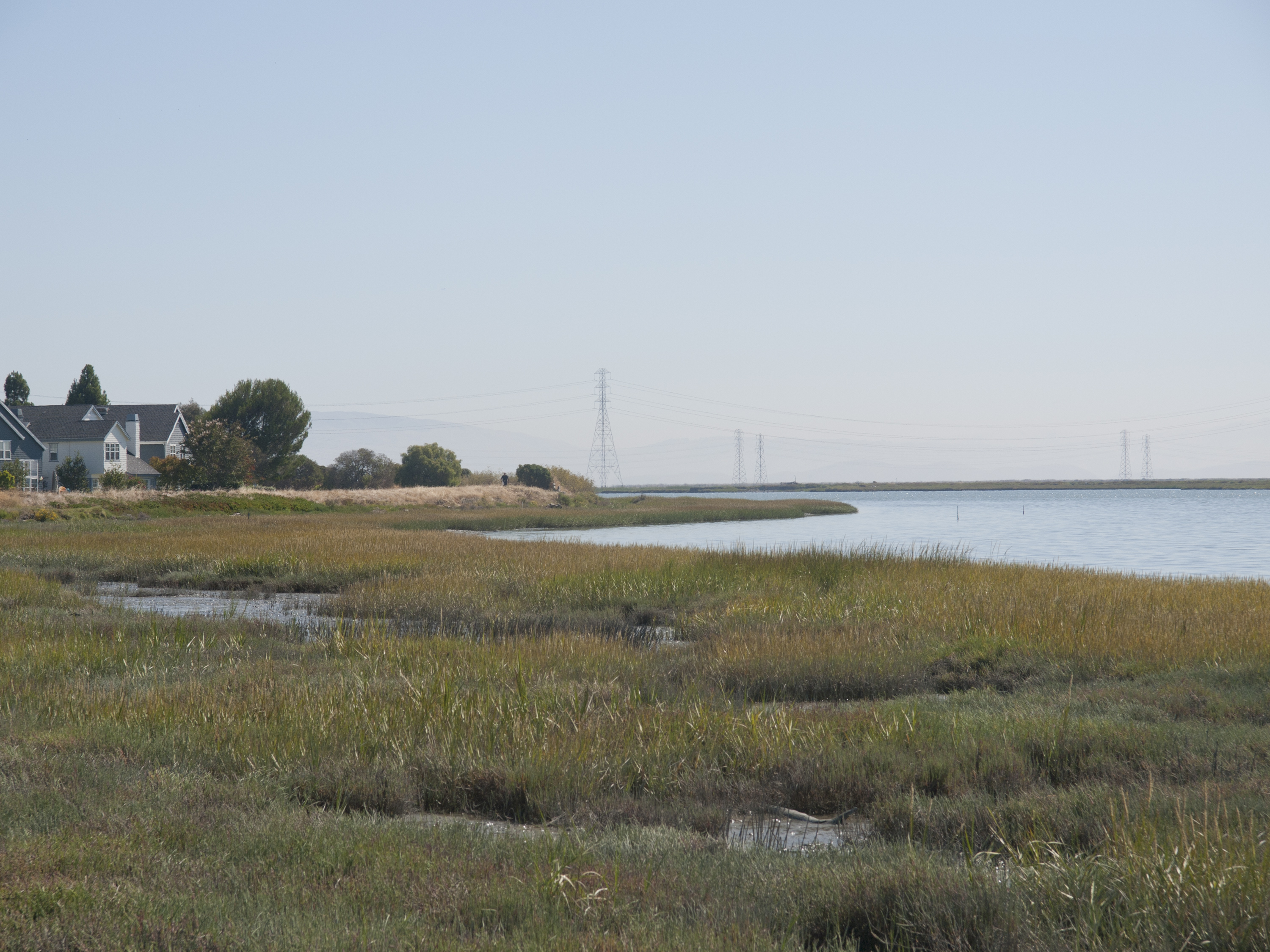 Baylands - Redwood Shores, CA