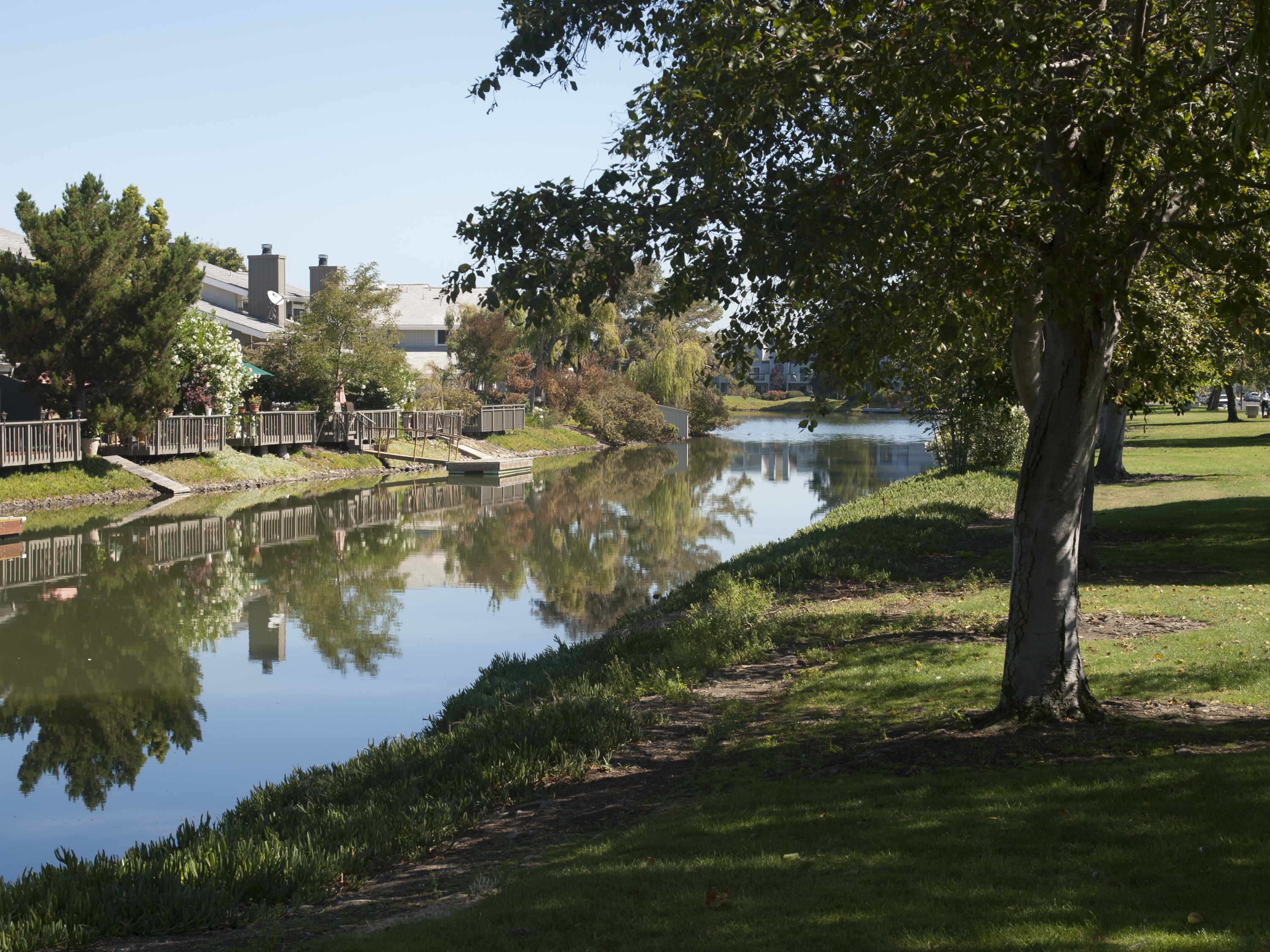 Park - Redwood Shores, CA