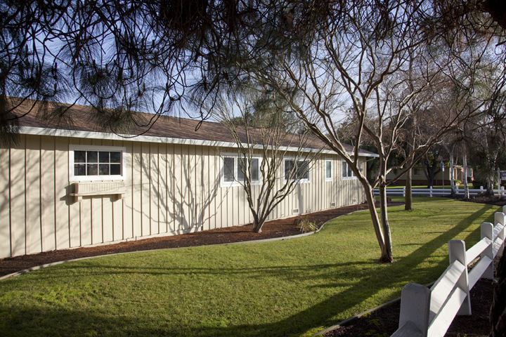 Side Yard (A) picture - 614 Torwood Ln, Los Altos 94022