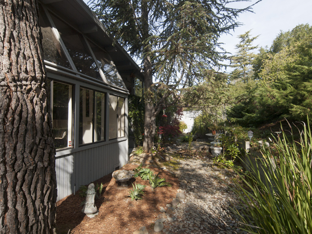 Garden (B) Picture - 27197 Black Mountain Rd, Los Altos 94022 Garden (B) picture - 27197 Black Mountain Rd, Los Altos 94022