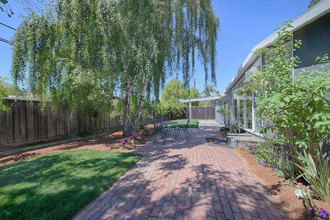 Backyard picture - 3890 Louis Rd, Palo Alto 94303