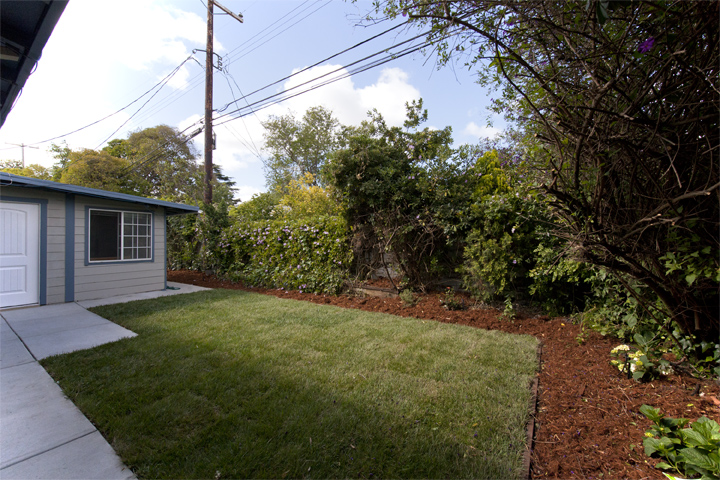 Backyard picture - 3470 Middlefield Rd, Palo Alto