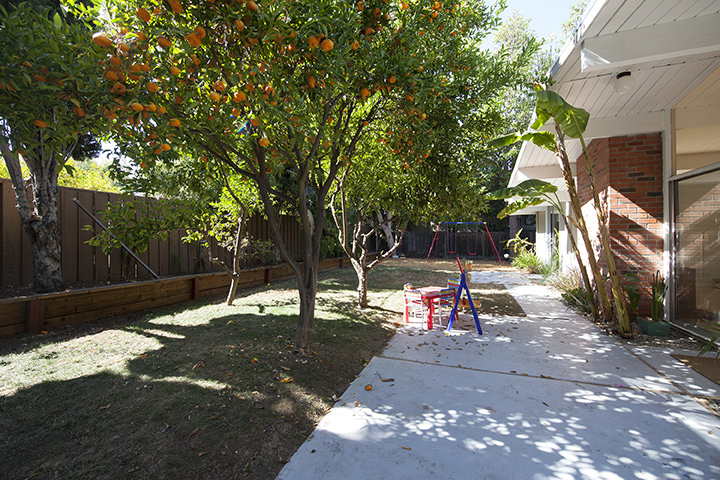 Backyard picture - 1401 S Wolfe Rd, Sunnyvale 94087