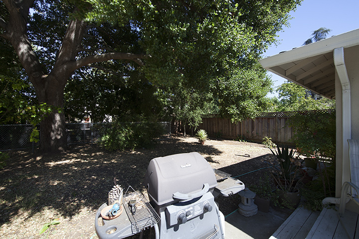 Backyard (A) picture - 1085 Golden Way, Los Altos 94024
