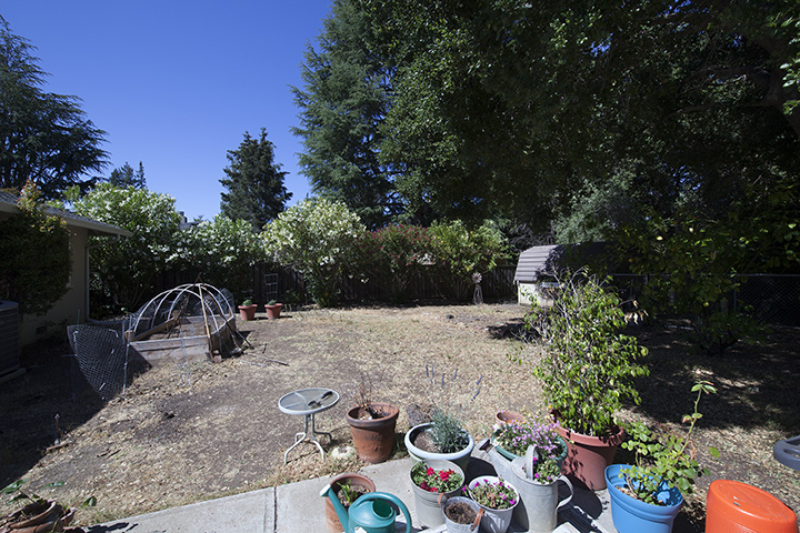 Backyard (B) picture - 1085 Golden Way, Los Altos 94024