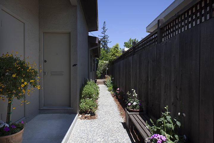 Side Yard picture - 2251 Harvard St, Palo Alto 94306