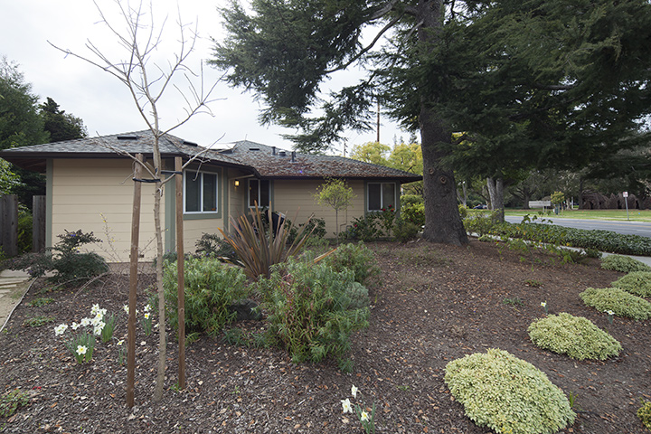 Side Yard (A) picture - 1806 Mark Twain St, Palo Alto 94303